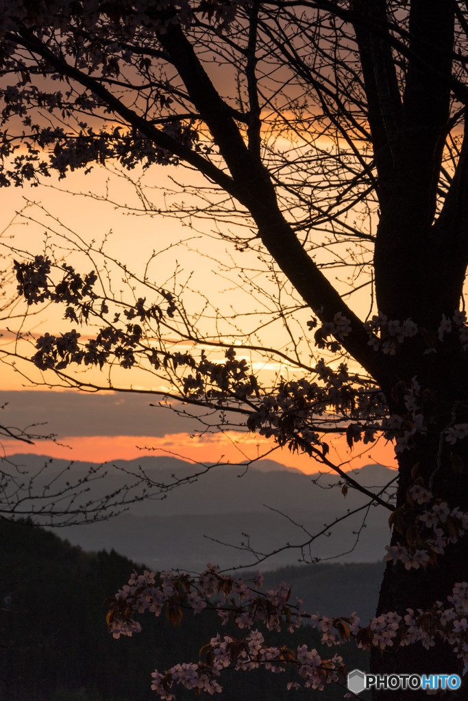 かすかな光の中で。