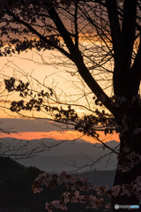 かすかな光の中で。