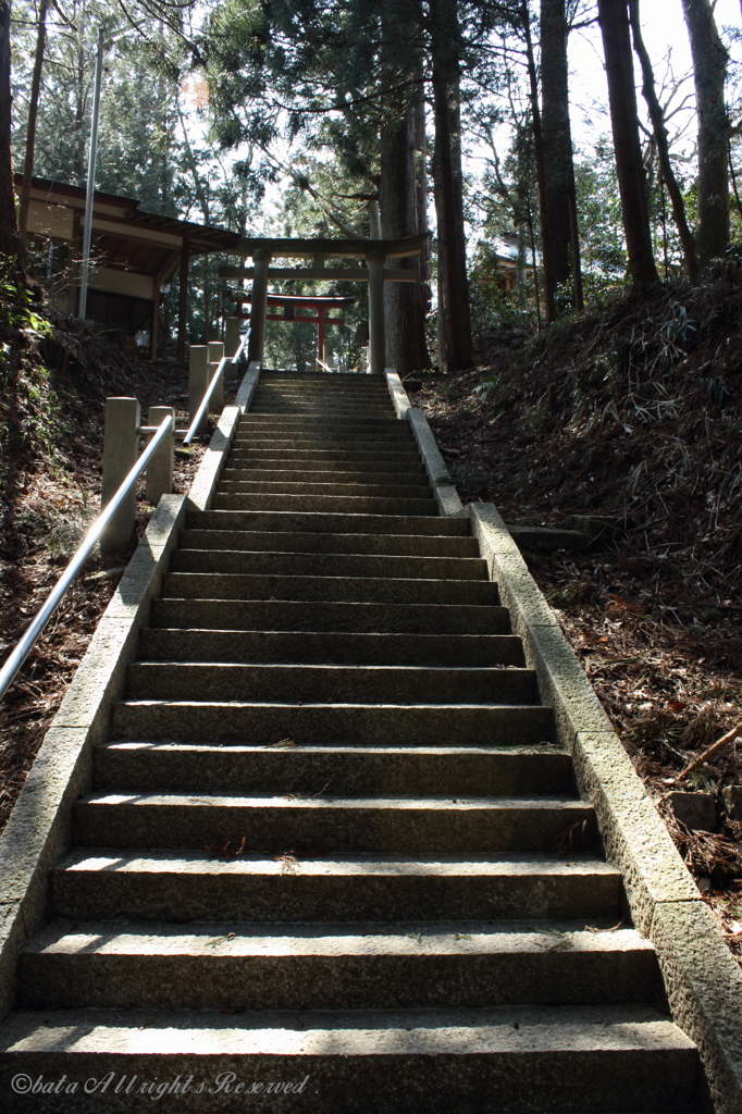 菅船神社の参道