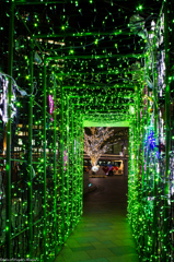 郡山駅前・Greeeenのドアのｲﾙﾐﾈｰｼｮﾝ