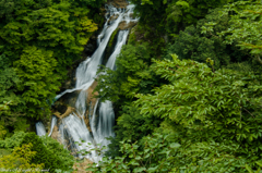 霧降の滝