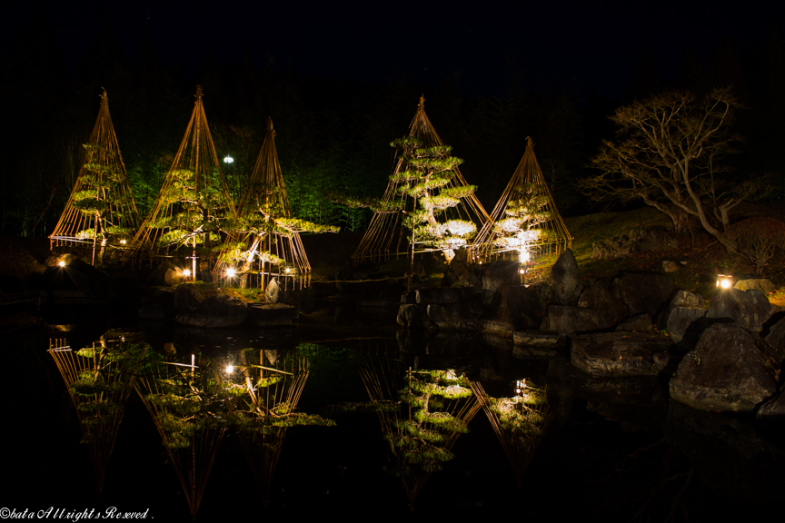 福島空港公園の日本庭園のライトアップ