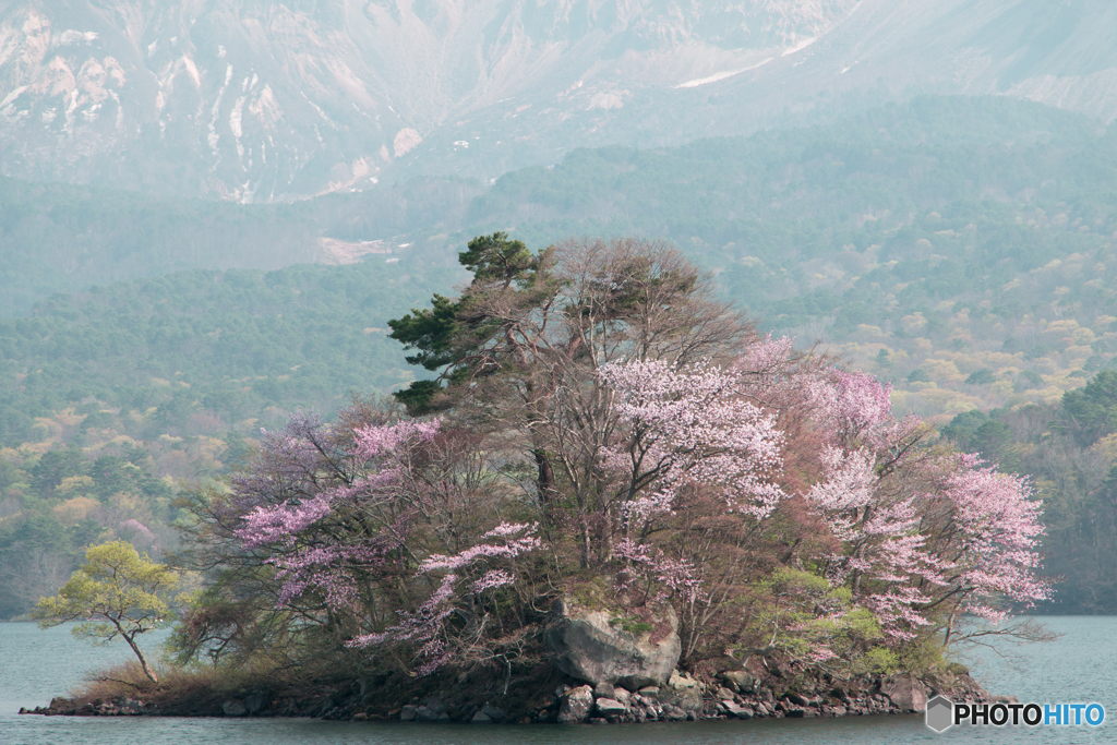 にぎわう島