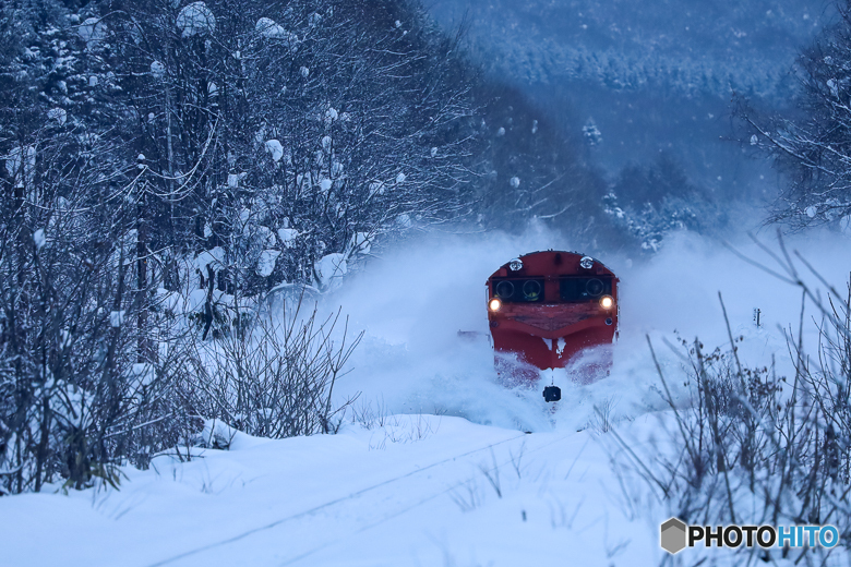 念願のラッセル車