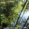 湧井の清水