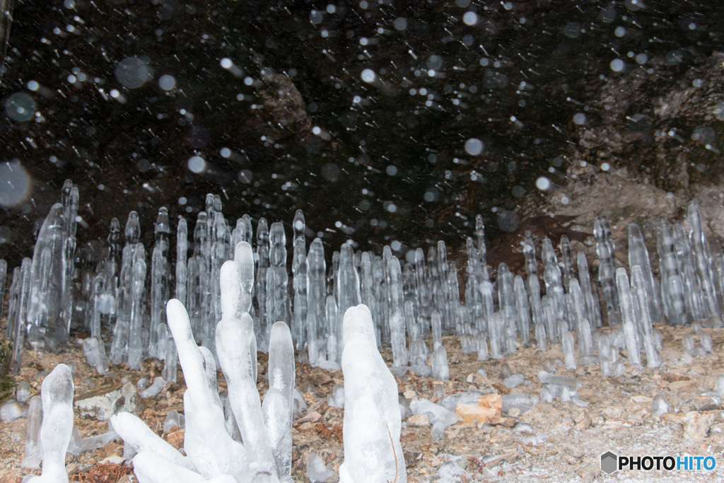 吹雪の中で