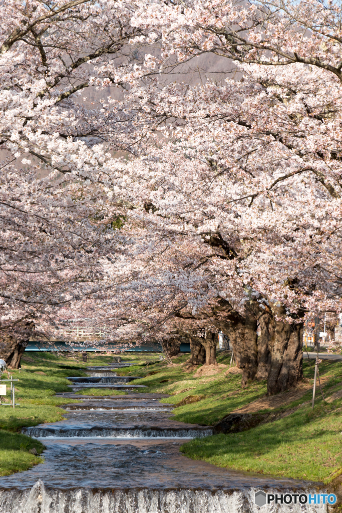 春の小川