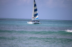 IMG_9767