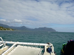 P1010016