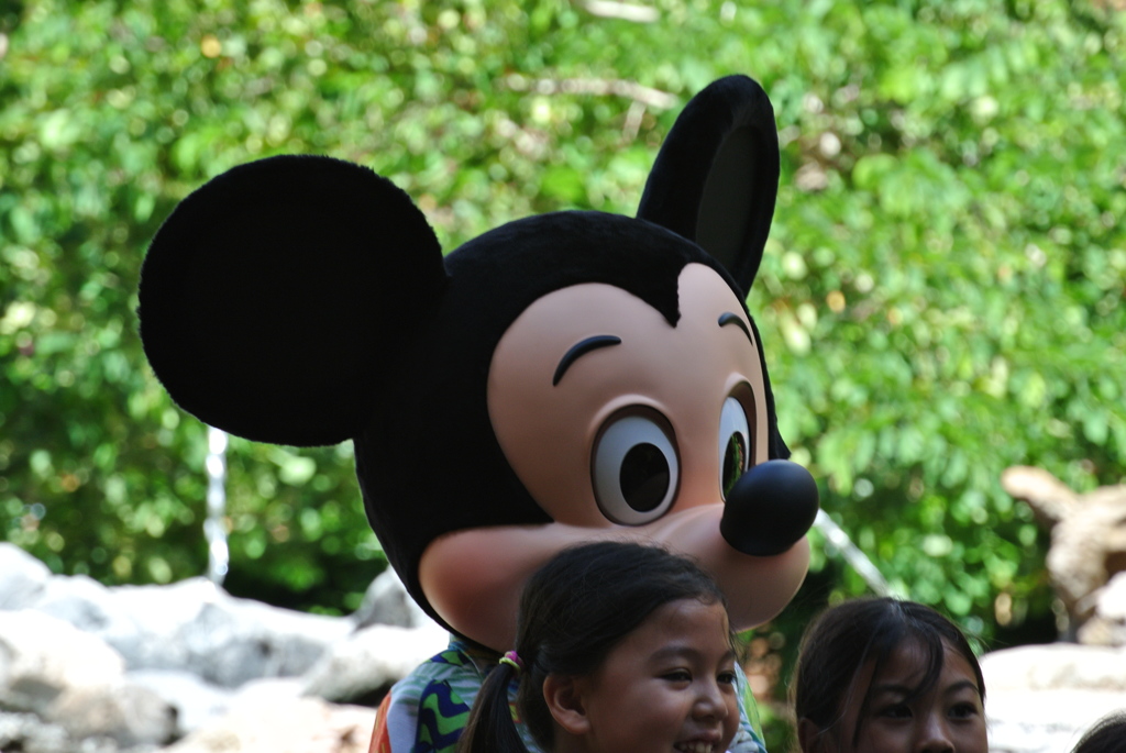 DSC_0965