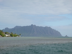 P1010015