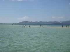 P1010089
