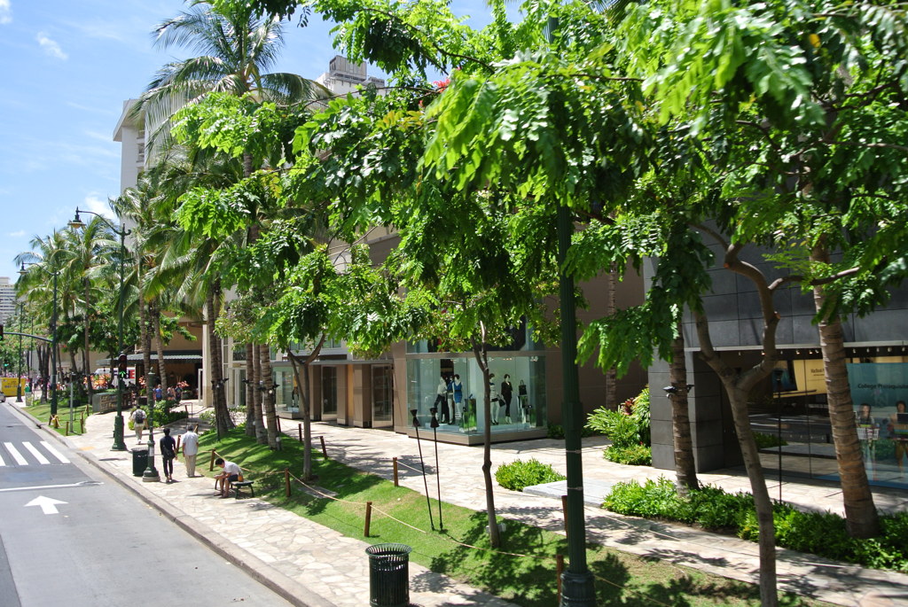 DSC_1107
