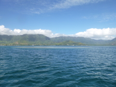 P1010095