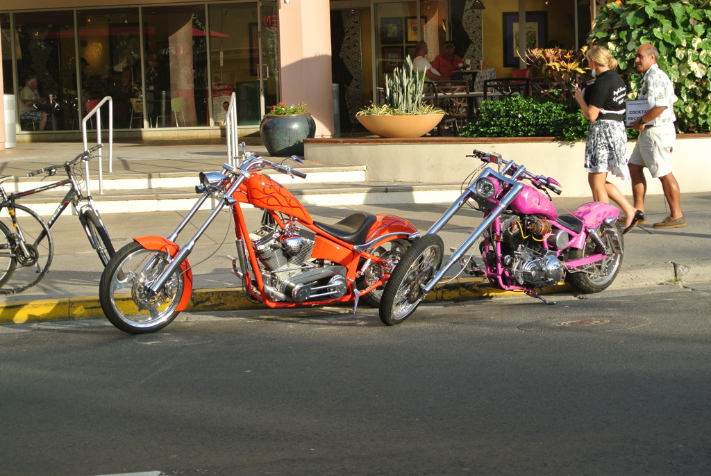 DSC_1335