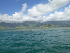 P1010050