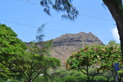 DSC_1266
