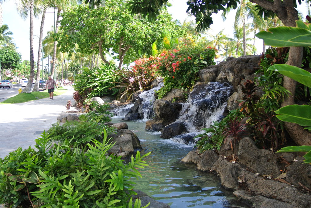 DSC_1320