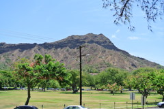 DSC_1125