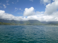 P1010090