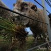IMG_3599
