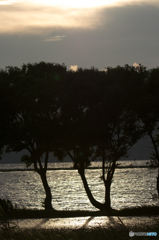 Sunset_8