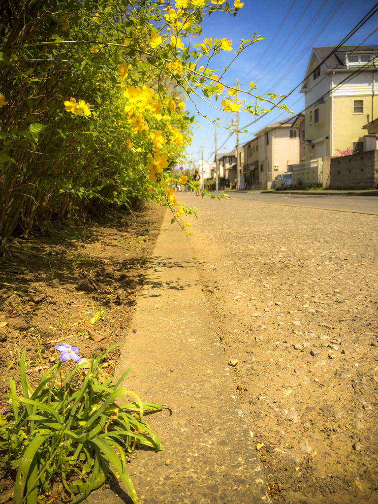青一点