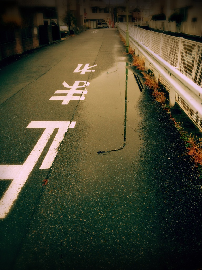 水たまりの世界