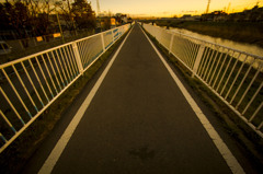 サイクリングロード