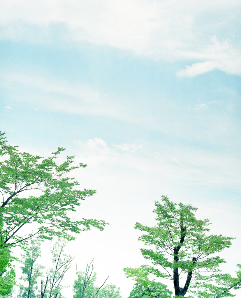 初夏