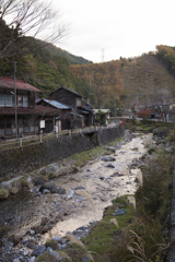里山の秋