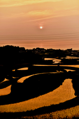 棚田・・・・・