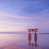 白鬚神社・・・Ⅰ