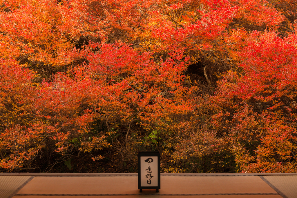 安国寺・・・Ⅱ