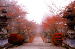 紅葉・・・Ⅳ