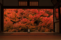 安国寺・・・Ⅰ