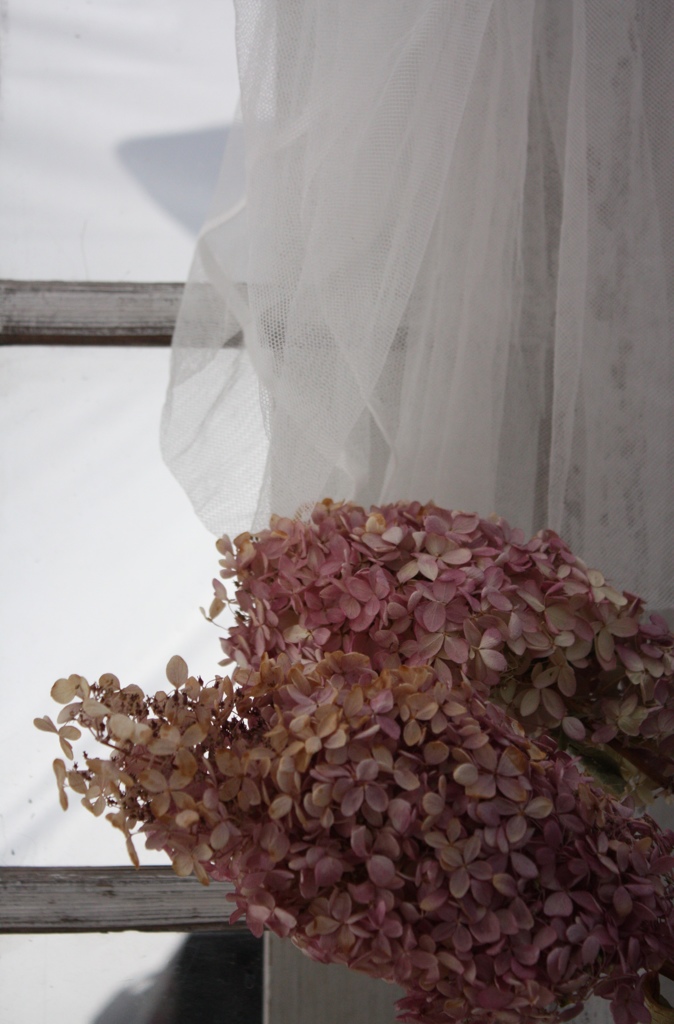 SHABBY CHIC