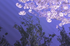 水鏡