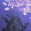 水鏡