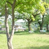 ベンチのある風景