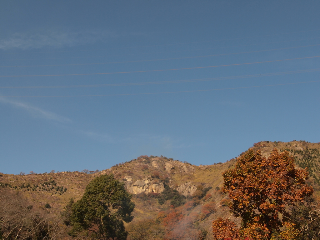 Hollywoodっぽい？　高砂 兵庫