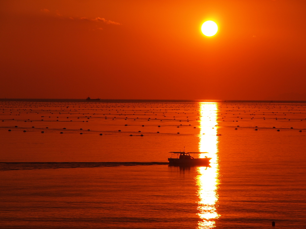 夕日　船２