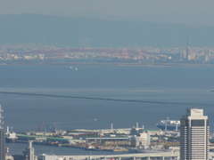 南港大橋（鵯越から）