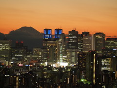 富士山　コクーンタワー