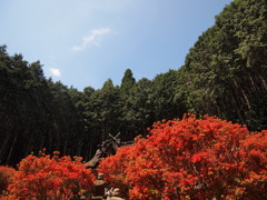 キリシマツツジ 一宮神社２ 兵庫 氷上