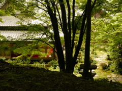 應聖寺 茶室　兵庫 福崎