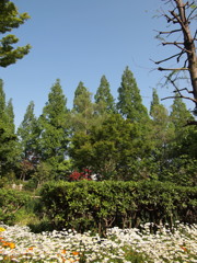 公園