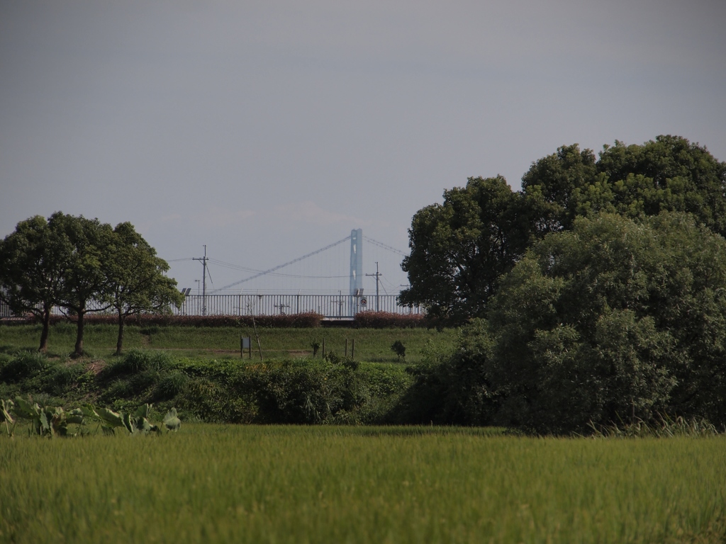 明石大橋 主塔