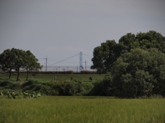 明石大橋 主塔