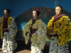 桜島３　湯島天神